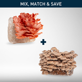 Grow Kit Bundle | 2-Pack