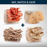 Grow Kit Bundle | 4-Pack