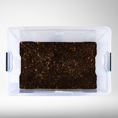 Mushroom Master | Ready-to-Inoculate