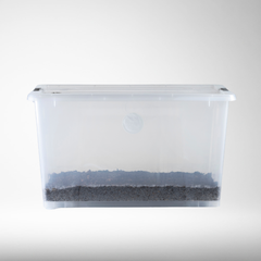 Mushroom Master | Ready-to-Inoculate