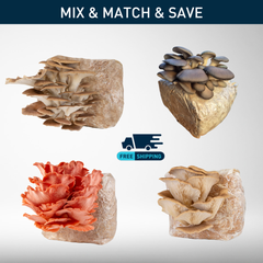Grow Kit Bundle | 4-Pack