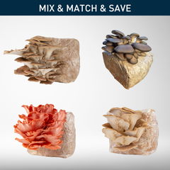 Grow Kit Bundle | 2-Pack