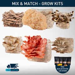 Grow Kit | 6-Pack