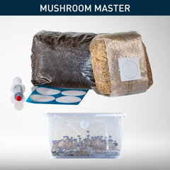 Mushroom Master | Ready-to-Inoculate