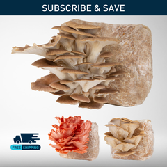 Grow Kit | Subscription