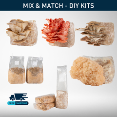 DIY Grow Kit | Bundle