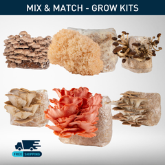 Grow Kit | Bundle