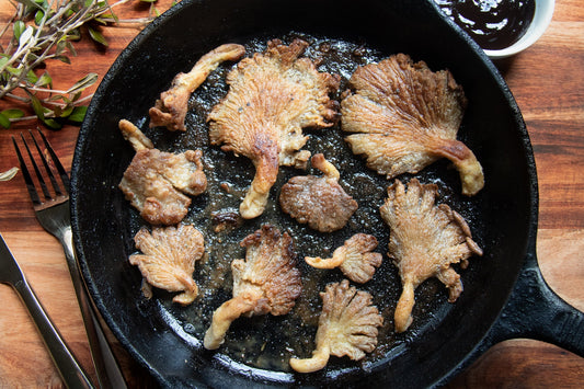 Mushroom 'Fish'