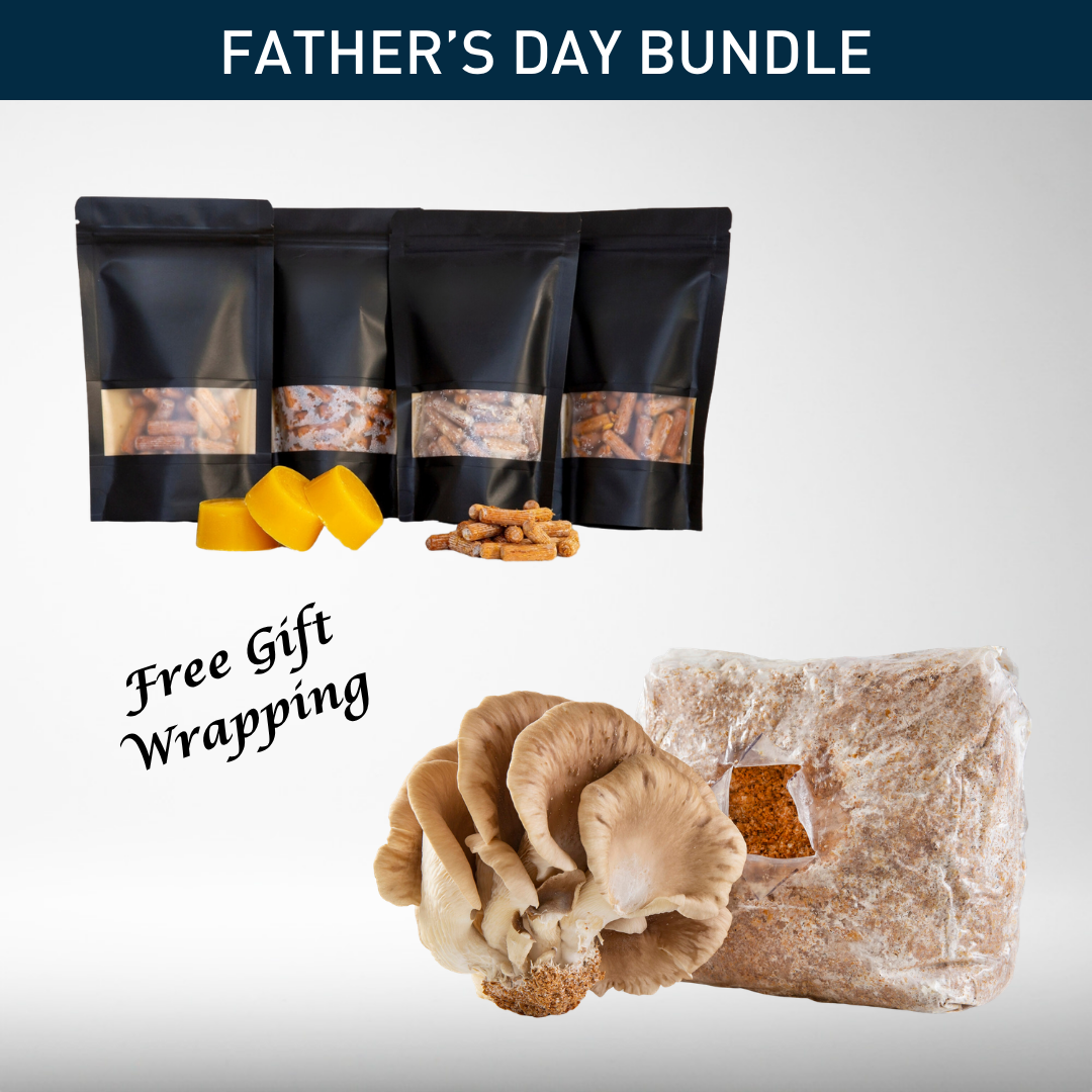 Father's Day Bundle