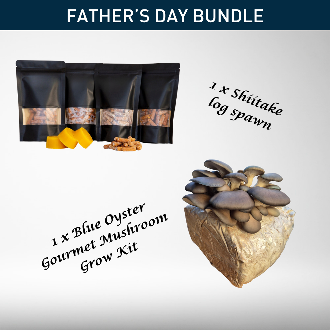 Father's Day Bundle V2.0 Blue Oyster & Shiitake Log spawn