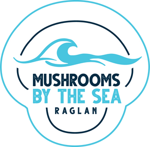 Mushrooms by the Sea