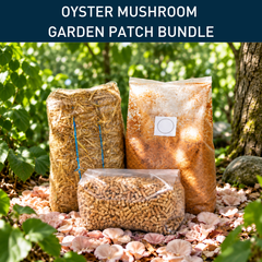 Oyster Mushroom Complete Outdoor Patch Bundle