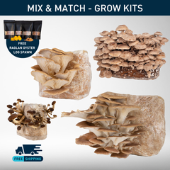 Grow Kit | 4-Pack