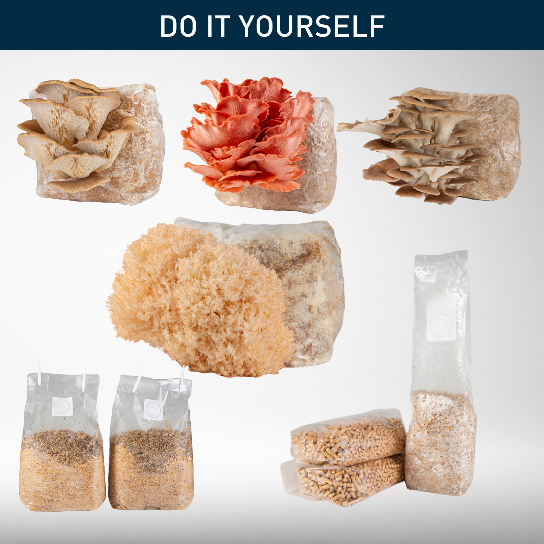 DIY Grow Kit